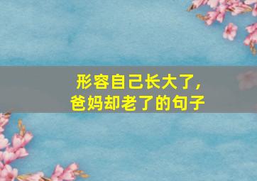 形容自己长大了,爸妈却老了的句子