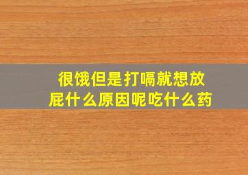 很饿但是打嗝就想放屁什么原因呢吃什么药