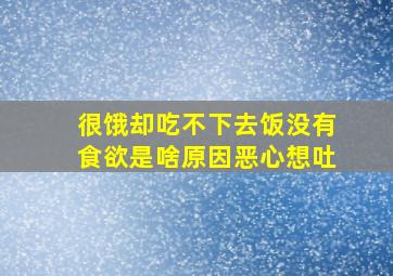 很饿却吃不下去饭没有食欲是啥原因恶心想吐