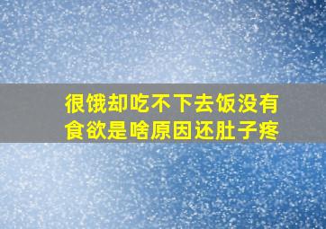 很饿却吃不下去饭没有食欲是啥原因还肚子疼