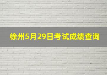 徐州5月29日考试成绩查询