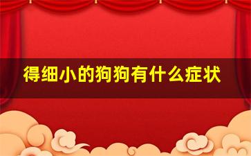 得细小的狗狗有什么症状