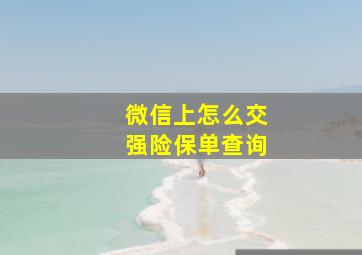 微信上怎么交强险保单查询