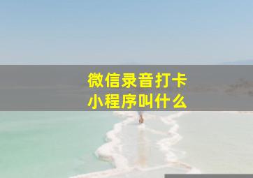 微信录音打卡小程序叫什么