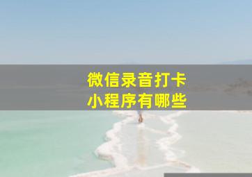 微信录音打卡小程序有哪些