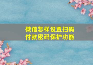 微信怎样设置扫码付款密码保护功能