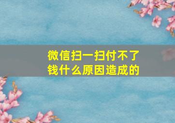 微信扫一扫付不了钱什么原因造成的