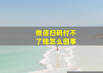 微信扫码付不了钱怎么回事