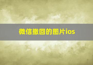 微信撤回的图片ios