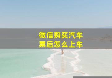 微信购买汽车票后怎么上车