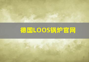 德国LOOS锅炉官网