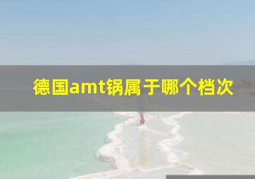 德国amt锅属于哪个档次