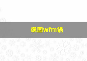 德国wfm锅