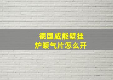 德国威能壁挂炉暖气片怎么开