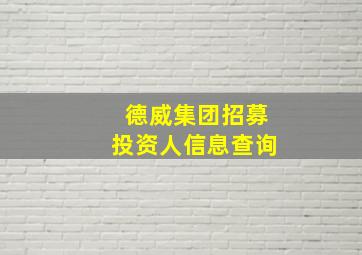 德威集团招募投资人信息查询