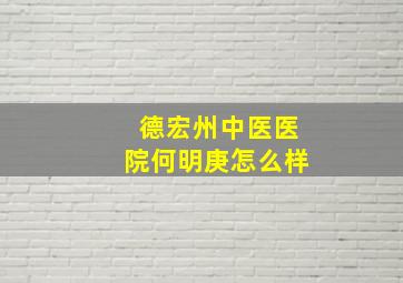 德宏州中医医院何明庚怎么样