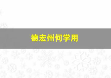 德宏州何学用