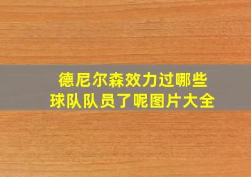 德尼尔森效力过哪些球队队员了呢图片大全