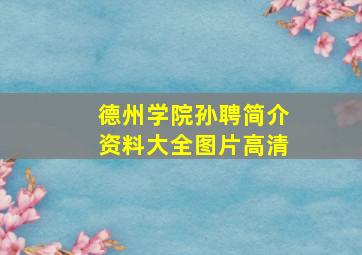 德州学院孙聘简介资料大全图片高清