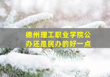 德州理工职业学院公办还是民办的好一点