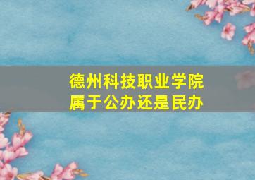 德州科技职业学院属于公办还是民办