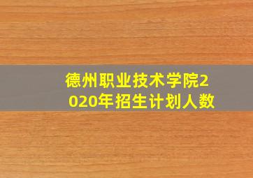 德州职业技术学院2020年招生计划人数