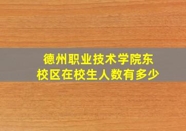 德州职业技术学院东校区在校生人数有多少