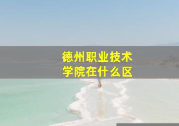 德州职业技术学院在什么区