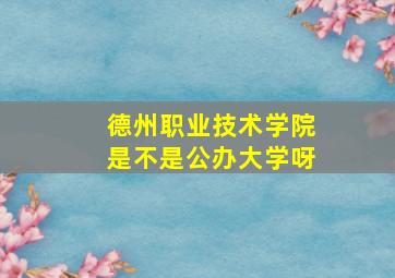 德州职业技术学院是不是公办大学呀