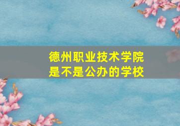 德州职业技术学院是不是公办的学校