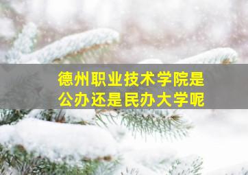 德州职业技术学院是公办还是民办大学呢