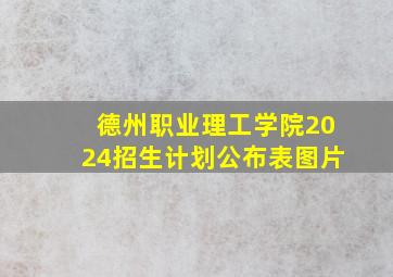 德州职业理工学院2024招生计划公布表图片