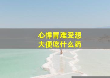 心悸胃难受想大便吃什么药