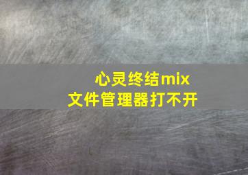 心灵终结mix文件管理器打不开