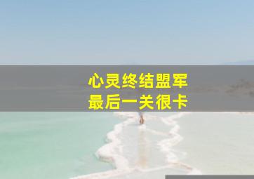 心灵终结盟军最后一关很卡