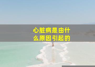 心脏病是由什么原因引起的