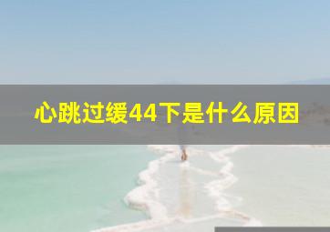 心跳过缓44下是什么原因