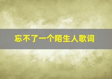 忘不了一个陌生人歌词