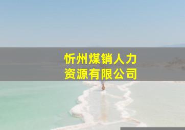 忻州煤销人力资源有限公司