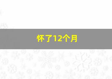 怀了12个月