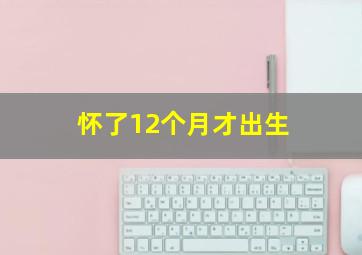 怀了12个月才出生