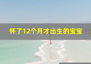 怀了12个月才出生的宝宝