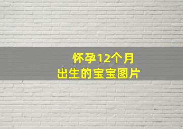 怀孕12个月出生的宝宝图片