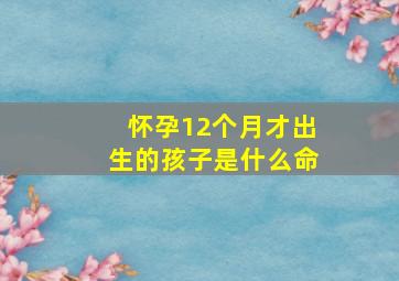 怀孕12个月才出生的孩子是什么命