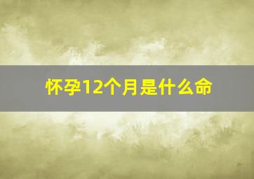 怀孕12个月是什么命