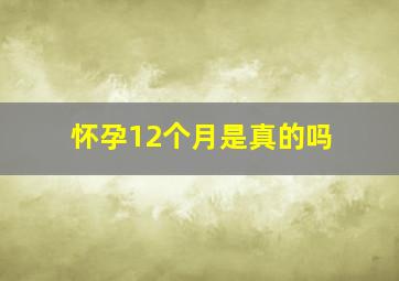 怀孕12个月是真的吗