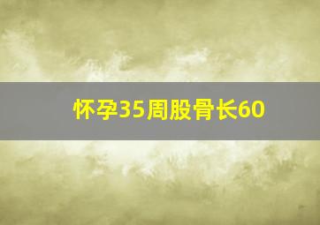 怀孕35周股骨长60