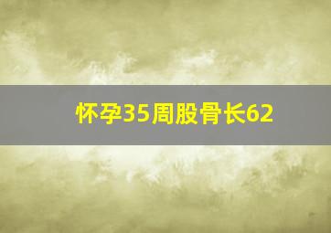 怀孕35周股骨长62