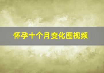 怀孕十个月变化图视频