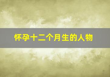 怀孕十二个月生的人物